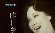 你对我的爱怎能忘记