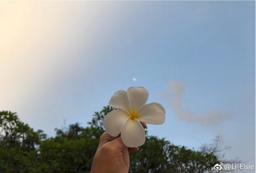 与大自然一起走
