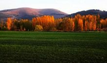 那抹靓丽的风景