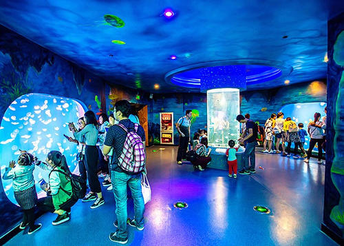 立交桥白鲸水族馆