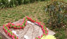 淡淡花香透着爱