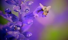 感恩的花开在奋进的路上