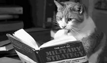 为了什么而学习