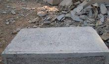 梧桐树与青石阶