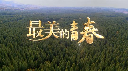 追求最美丽的青年