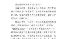 雨中的暖意作文600字