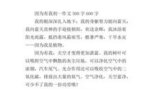 因为有我作文600字初一