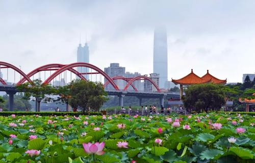 美丽的东湖公园