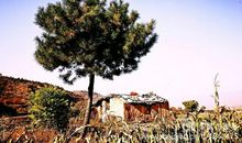 那里有我记忆中的故乡