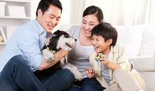 我们没有理由不微笑