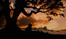 曾经错过的父爱