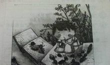 蚂蚁搬家看图写话一年级