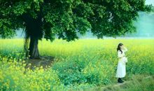 珍惜所拥有的生活