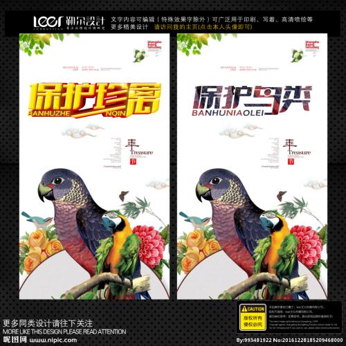请保护鸟类