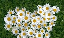 深藏在心底的爱