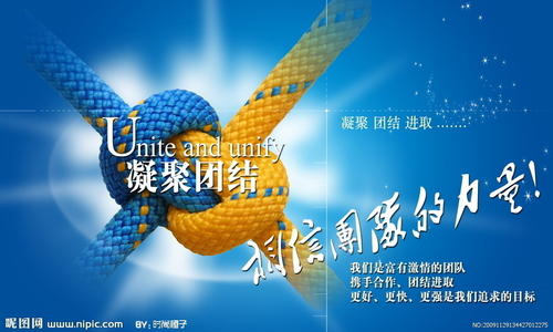 团结与合作的力量