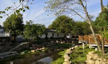 一草一木总关情