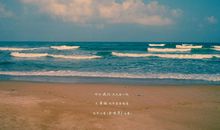 这个夏天我想你