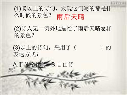 在天空中的诗歌