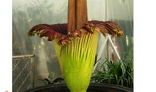 积淀只为更好地绽放