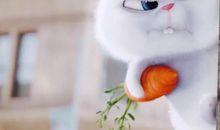 烈日下那一股清新的风