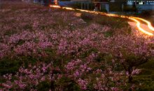 诗文是最美的行囊