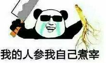 我的课堂我主宰