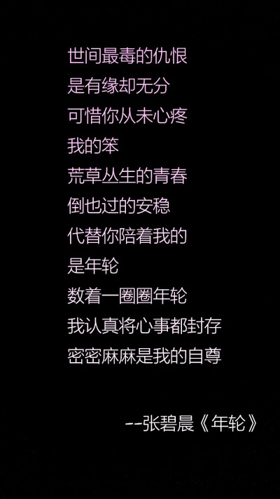 在感激之情，邂逅青年圆
