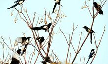 雨牵动我的情思