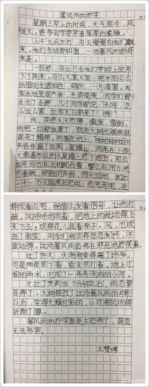 雨的交响曲作文600字