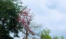 人生路上欢愁多