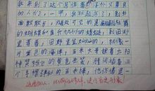 写迎春花的作文400字