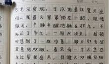 难忘那张什么的脸作文