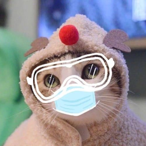我想回到校园里。