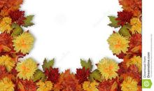 成长的路上感恩的花