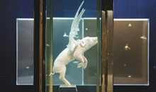 铸造自己的金牛犊