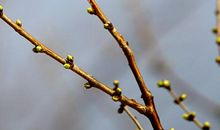 那一次走过拐角