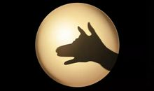 共享，一个新的开始