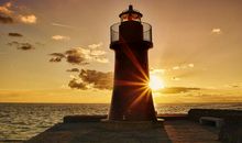 夏夜，让我陶醉