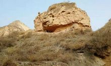 再寒冷冬季也有暖意