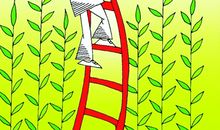 追寻成长的脚步