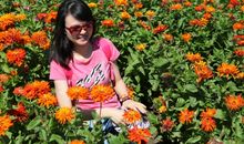 赏花也是一种享受