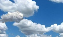 我好想变成一朵云