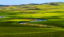 呼伦贝尔草原游记