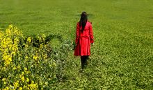 春天我到过田野