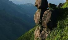 我欣赏家乡的山