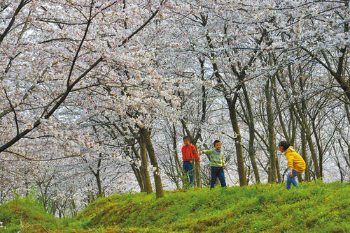 感到春天的呼吸
