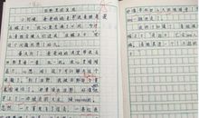 我心中的伟人作文