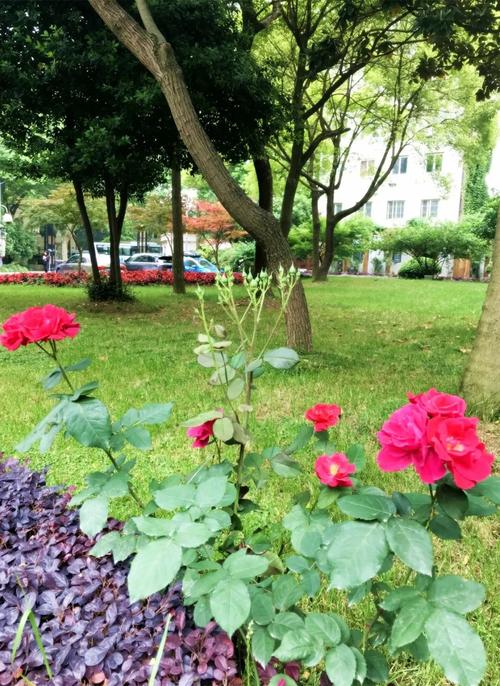 爆炸春天
