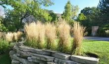 共享现代生活中一道亮丽风景线